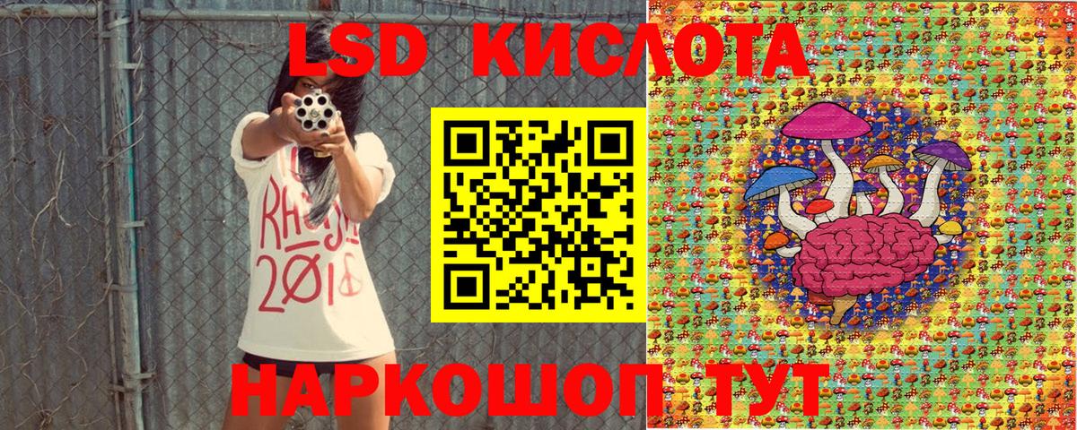 Псилоцибиновые грибы Ступино