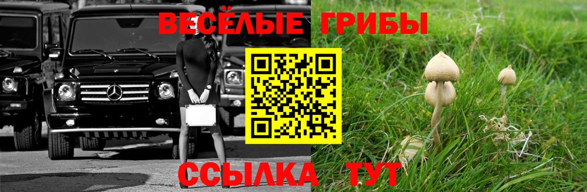 Псилоцибиновые грибы мицелий  Вход с VPN  Ступино 